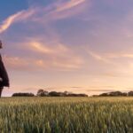 Open field at sunset representing hope and direction as Jesus Our Forerunner leads the way into eternal life.