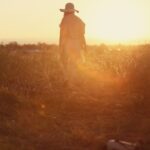 Person walking in sunlight across a field representing walking in the light of the Father of Lights and reflecting His truth.