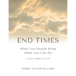 End Times Bible Study cover image
