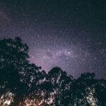 Night sky filled with stars above trees, reflecting the vast inheritance promised through Jesus as the Heir of All Things.