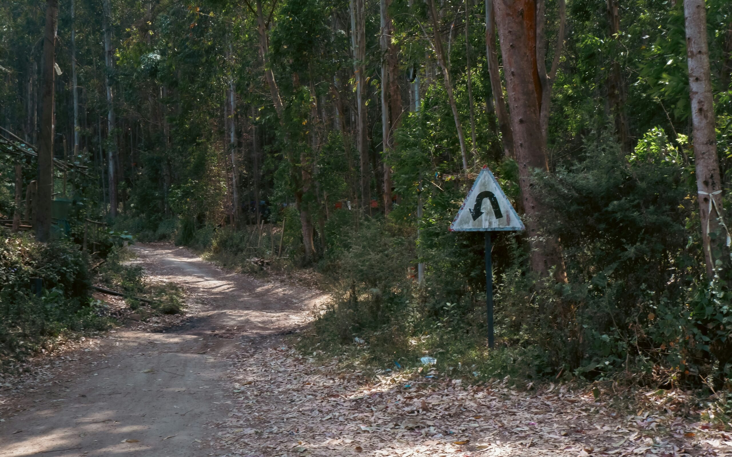 A dirt road with a U-turn sign.