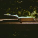 Open Bible resting outdoors, reflecting on the truth that the Lord is peace and He gives peace that surpasses understanding.