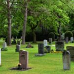 Cemetery with headstones, reflecting on Jesus, the Living One, who has power over death and gives eternal hope.
