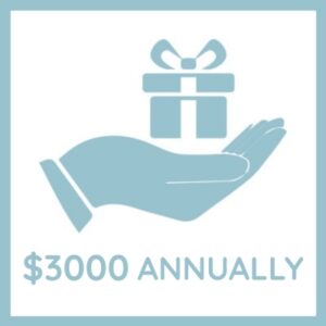 Donate $3,000 annually to Hill Country Ministries to help spread the love and Word of Jesus. Graphic shows a hand holding a gift icon above the text “$3,000 annually.”