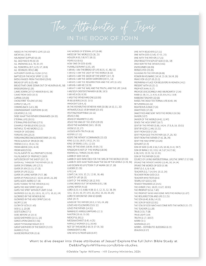 The Attributes of Jesus in the Book of John